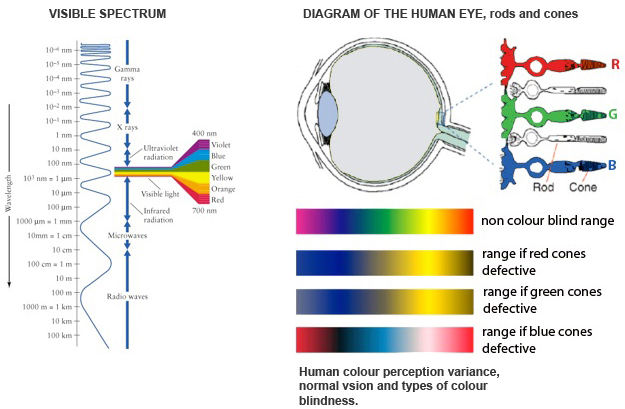 treatment for colour blindness